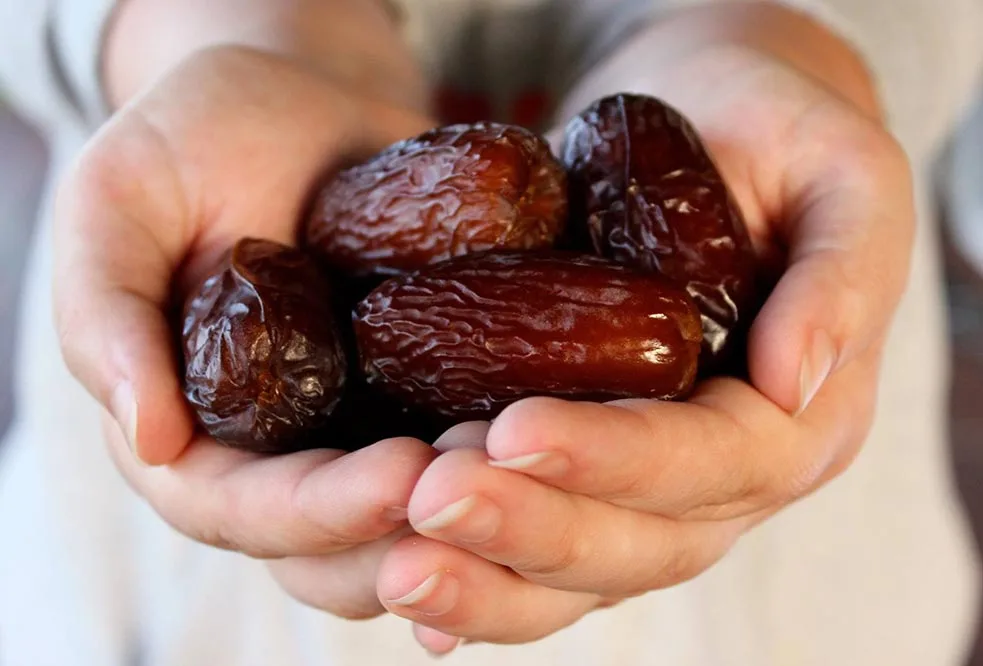 1713179594_1712577296_خرمای مجول در ایران 5 خرما مجول سعودی - Image 1