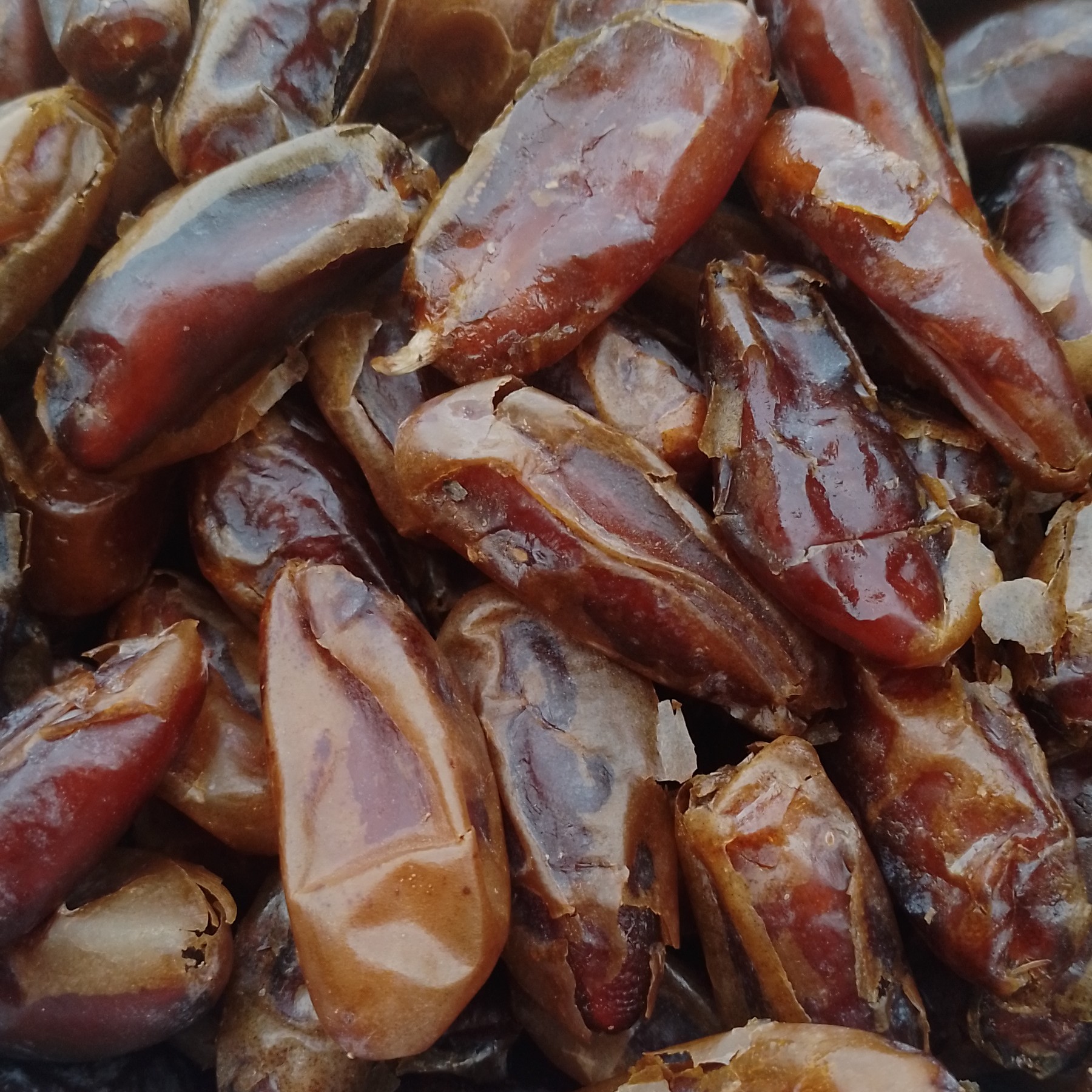 R5ABD2OIRziDHqrB0G4LjTlQhxizoqQEGcsMEIQZbi77ojYqTF خرما شاهانی - Image 1