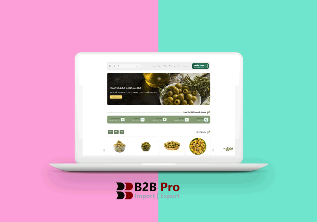 نمونه کار طراحی سایت شاه زیتون