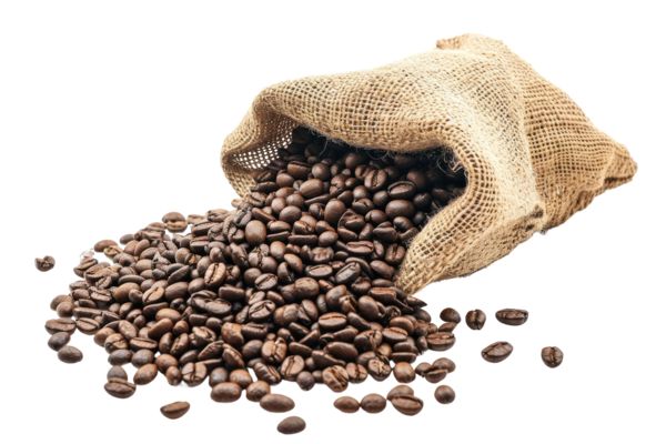 dc8e40d249283d3ef1958d340705bd10.jpg دانه قهوه ربوستا اوگاندا - Image 1