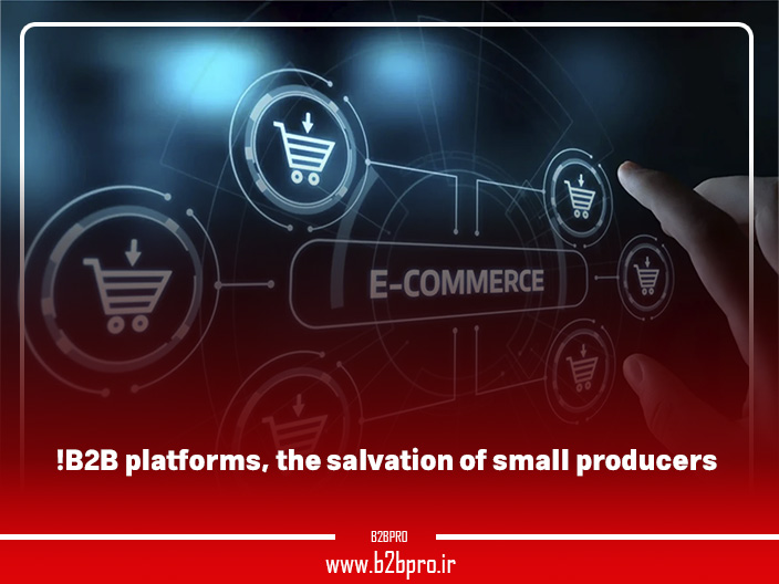 B2B platforms, the salvation of small producers!
