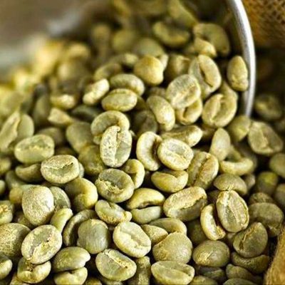 دان سبز قهوه برزیل ریو Brazil Rio Green Coffee Beans مناسب خرید عمده و واردات قهوه خام